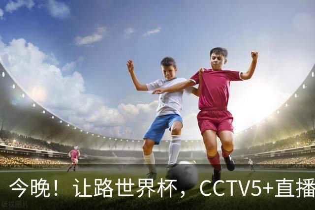 今晚！让路世界杯，CCTV5+直播中国女排VS法国，小将领衔冲击5连胜