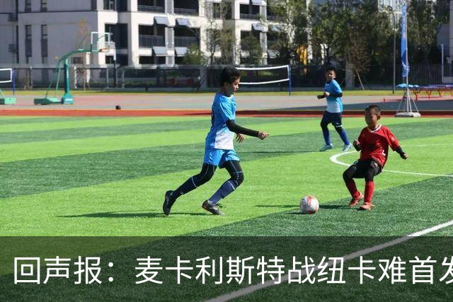回声报：麦卡利斯特战纽卡难首发，阿劳霍或搭范戴克