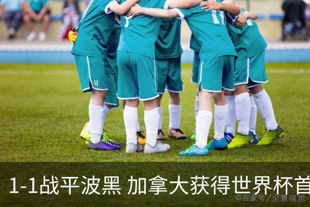 1-1战平波黑 加拿大获得世界杯首个积分