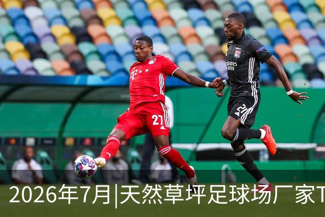 2026年7月|天然草坪足球场厂家TOP8推荐